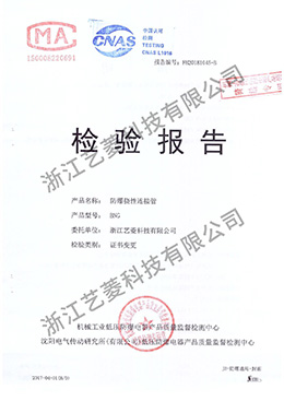 BNG防爆挠性连接管